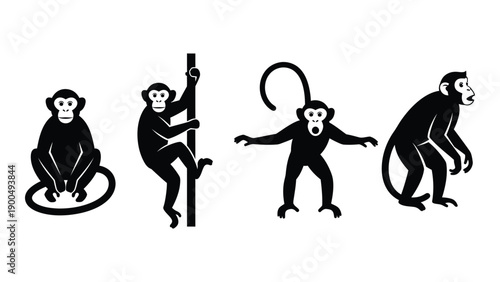 Four monkeys demonstrating different poses and activities in a playful manner. Vector