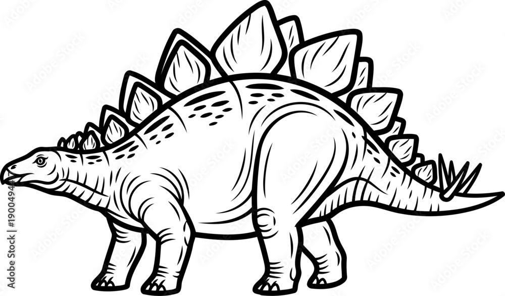 Obraz premium Defensive stegosaurus dinosaur with row of back plates line art graphic