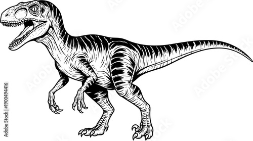Deinonychus raptor dinosaur standing line art illustration
