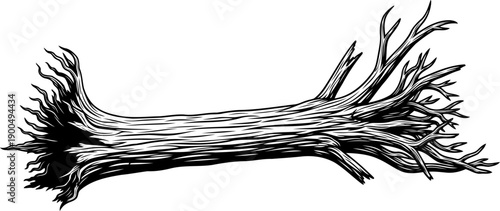 Detailed sketch of a fallen ancient tree log