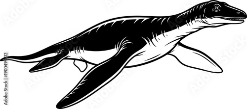 Elasmosaurus marine reptile swimming with long neck