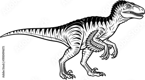 Feathered dromaeosaurid dinosaur predator walking sketch