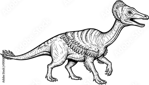 Feathered oviraptor dinosaur illustration line art
