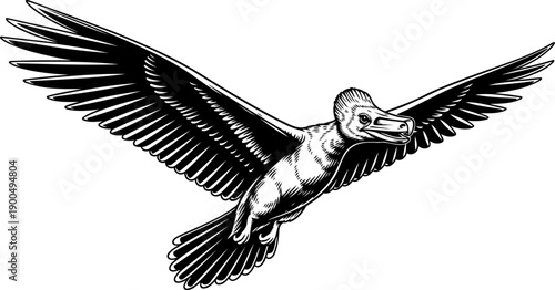 Flying pterodactyl pterosaur birdlike reptile
