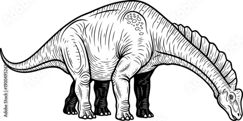Long tailed diplodocus sauropod dinosaur grazing sketch