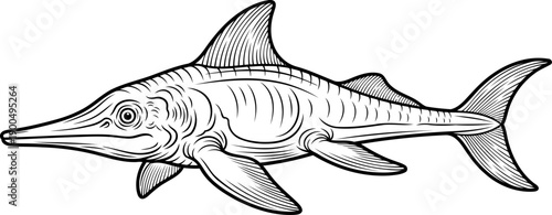 Long snouted ichthyosaur prehistoric sea creature drawing