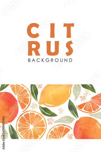 Set of colorful oranges, citrus, lime, tangerine summer fruit