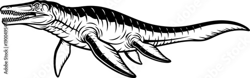 Marine reptile mosasaurus swimming in prehistoric ocean line art illustration