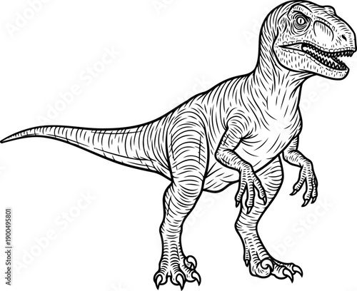 Powerful tyrannosaurus rex predator line art drawing