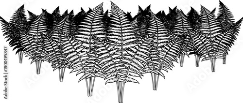 Prehistoric fern plants forest background illustration