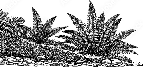 Prehistoric ferns and rocks ground vegetation drawing