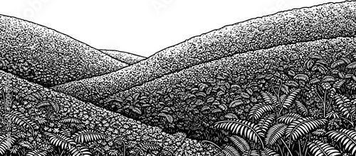 Prehistoric fern valley and rolling hills landscape