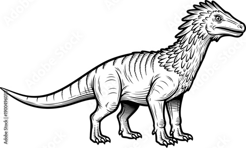 Primitive feathered dinosaur theropod bird ancestor drawing