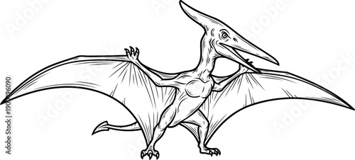 Pteranodon pterosaur gliding with crest and sharp beak sketch