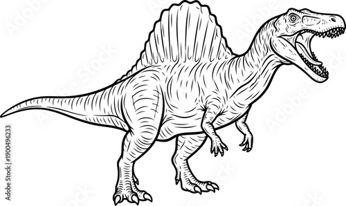 Roaring spinosaurus dinosaur with large sail fin line art illustration