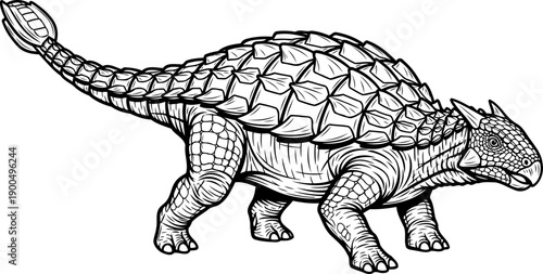 Saichania ankylosaurid dinosaur drawing