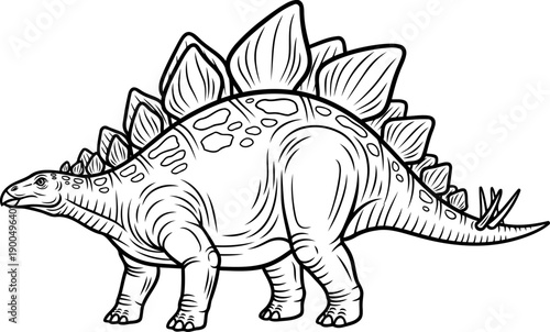 Spiked stegosaurus herbivore with back plates drawing