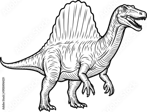 Spinosaurus aegyptiacus with large dorsal sail and long snout