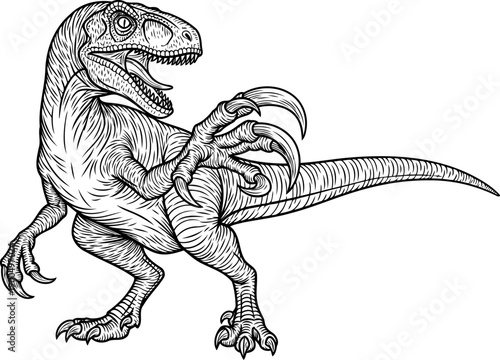 Velociraptor predator with sickle claw aggressive stance drawing