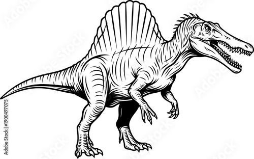 Woodcut style spinosaurus dinosaur with large back sail
