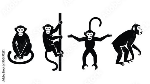 Four monkeys demonstrating different poses and activities in a playful manner Vector