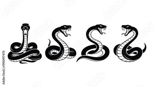 Four snakes illustrated in a stylized, artistic manner with intricate details. Vector