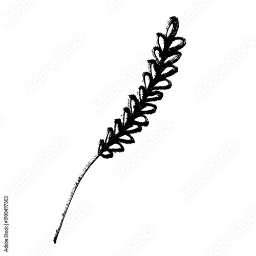 Hand drawn cereal wheat oat rye barley rice ears spikelet clipart Organic wheat bread agriculture farming harvest healthy food Single element for print packaging label design decor