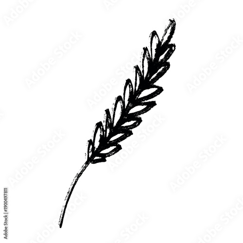 Hand drawn cereal wheat oat rye barley rice ears spikelet clipart Organic wheat bread agriculture farming harvest healthy food Single element for print packaging label design decor