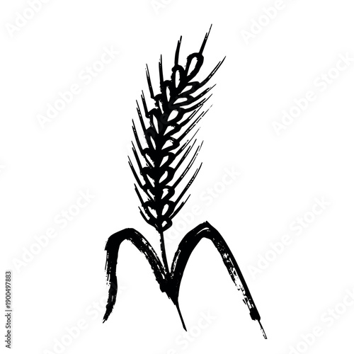 Hand drawn cereal wheat oat rye barley rice ears spikelet clipart Organic wheat bread agriculture farming harvest healthy food Single element for print packaging label design decor