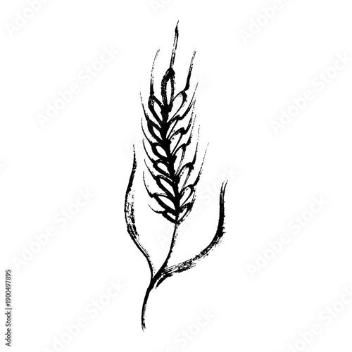 Hand drawn cereal wheat oat rye barley rice ears spikelet clipart Organic wheat bread agriculture farming harvest healthy food Single element for print packaging label design decor
