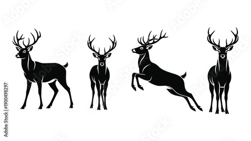Four distinct black silhouettes of deer in various poses Vector