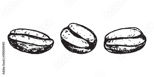 Set of hand drawn fresh roasted coffee bean Arabica robusta seed doodle Single element for design print packaging label decor