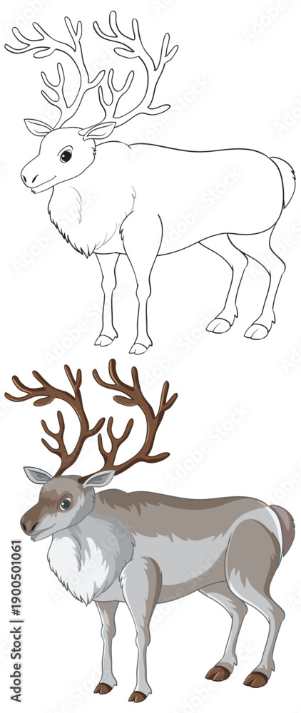 Fototapeta premium Reindeer Vector Illustration with Line Art and Colored Versions
