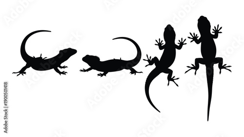 Four different silhouettes of lizards in various poses and positions Vector