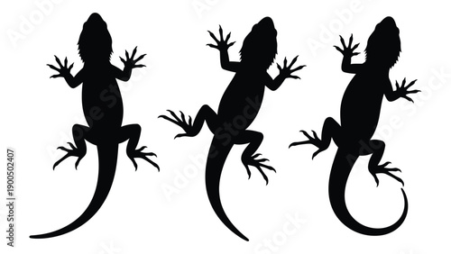 Three lizards in different poses showcasing their agility and movement. Vector