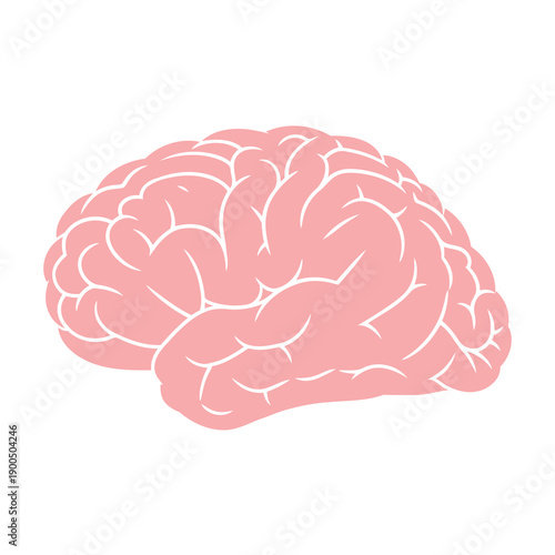 Human Brain Illustration Side View.