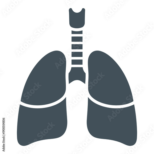 Human Lungs Anatomy Illustration.
