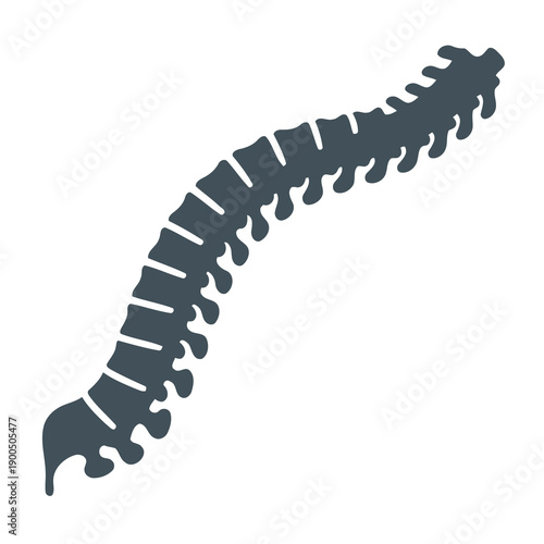 Human Spine Anatomy Illustration Silhouette.