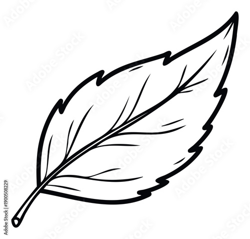 Bold black and white graphic representation of a generic plant leaf featuring a clear stem and simple venation useful for educational materials or nature inspired iconography