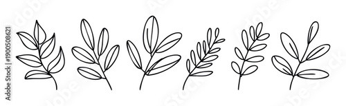 A collection of simple handdrawn minimalist leafy branches perfect for natural decorative graphic assets, wedding invitations, greeting cards, branding, or packaging designs.