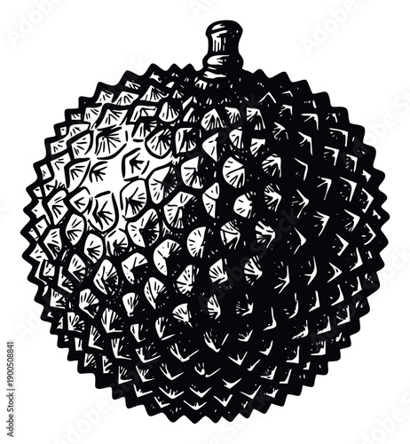 Exotic spiky durian fruit depicted in a striking black and white graphic style, ideal for food packaging, tropical cuisine menus, or market promotions.