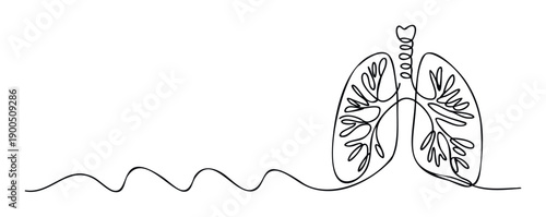 Minimalist one line drawing of human lungs and trachea symbolizing respiratory health and continuous breathing, perfect for medical education or wellness promotion