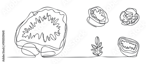 Minimalist continuous line drawing set featuring tropical fruit crosssections and organic botanical elements perfect for healthy food branding and modern graphic applications