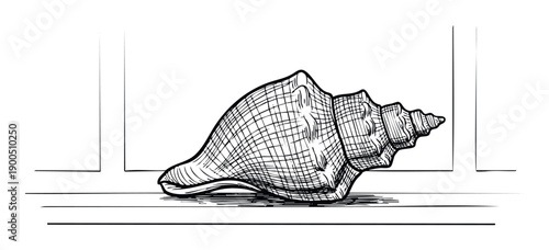 Handdrawn sketch of a spiral conch seashell resting on a surface, ideal for ocean themed projects, marine biology educational materials, or decorative graphic elements.