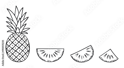 Simple line drawing of a fresh tropical pineapple fruit and its various cut slices perfect for summer recipe books or health food marketing