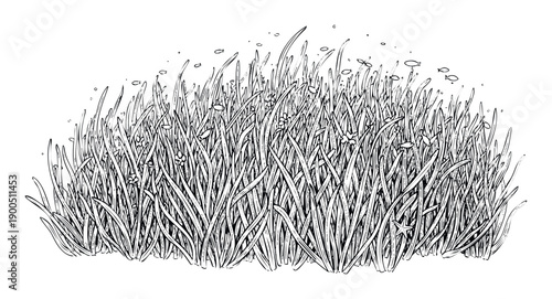 Detailed monochrome illustration depicting a vibrant underwater plant environment filled with tiny fish and floating particles, suitable for marine life themes.