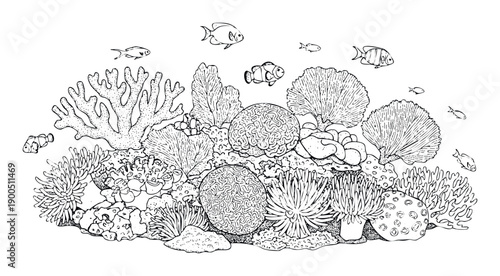 Detailed line drawing depicting a vibrant coral reef ecosystem with various tropical fish and diverse hard and soft corals ideal for educational resources or aquatic decor projects