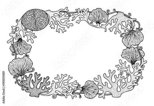 Detailed handdrawn coral and seashell frame ideal for marine life inspired decorative borders, aquatic environment designs, and oceanthemed stationery.