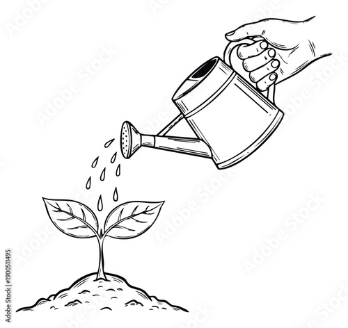 Human hand holding a watering can pouring lifesustaining water onto a delicate young plant, representing growth, nurturing, and environmental responsibility for educational or ecological