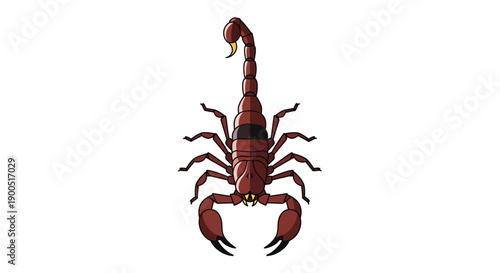 Detailed vector illustration of a scorpion on white background